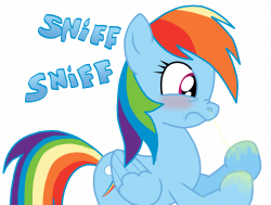 Why Rainbow Dash Never Covers Her Sneezes by MasterXtreme on DeviantArt