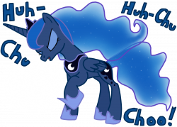 Luna sneezing | My Little Pony: Friendship is Magic | Know Your Meme