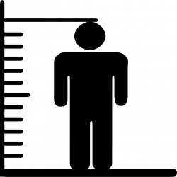 Height And Weight Svg Png Icon Free Download (#93627 ...