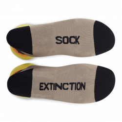 Sock Extinction – Sock Problems
