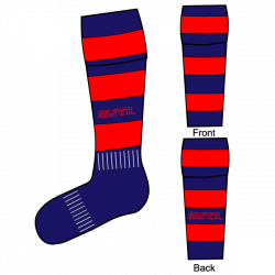 SilverFx Sports Socks