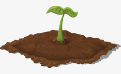 Soil Seedlings, Growing Up, Green Seedlings, Increase PNG Image and ...