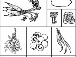 Stone Soup Cliparts 17 - 3850 X 2067 | carwad.net