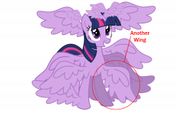 Equestria Daily - MLP Stuff!: Hasbro Adds ANOTHER Wing to Twilight ...