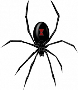 Download Black Widow Spider Clipart HQ PNG Image | FreePNGImg