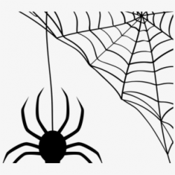 Drawn Arachnid Cobweb Spider - Transparent Spider Web ...