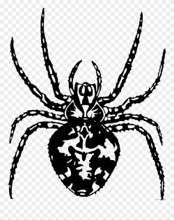 Spider Clipart Black And White Free - Arthropod Black And ...