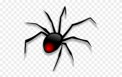 Black Widow Clipart Baby Spider - Png Download (#2691102 ...