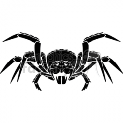 Big spider clipart. Royalty-free clipart # 374502