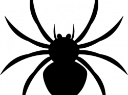 Free Spider Clipart, Download Free Clip Art on Owips.com
