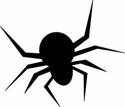 Halloween Spider Pictures | Free download best Halloween Spider ...