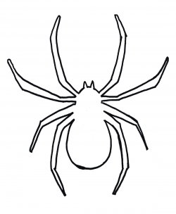 Spider black and white halloween spider clipart - WikiClipArt