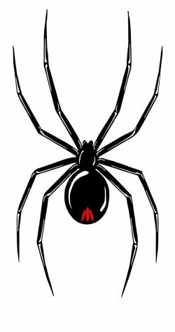 Black Widow Tour Red Back Spider Stickers - Clip Art Library