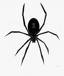 Black Widow Spider Animal Free Black White Clipart ...