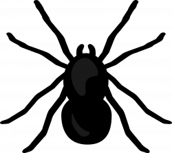 Spider Clipart No Background Transparent Clip Art Png - AZPng