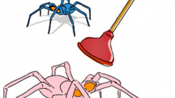 Free Fear Clipart dead spider, Download Free Clip Art on ...