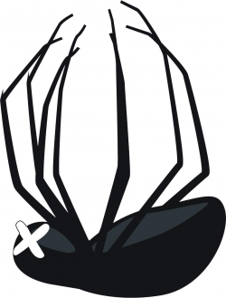 Amazon.com: Cute Black Spider Kawaii Insect Arachnid Bug ...