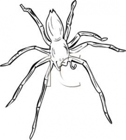 Wolf Spider Outline - Royalty Free Clipart Picture