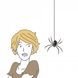 Friendly spider meme clipart images gallery for free ...