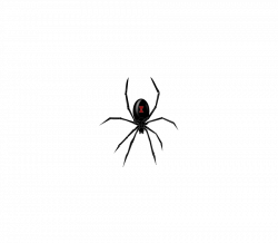 28+ Collection of Simple Spider Clipart | High quality, free ...