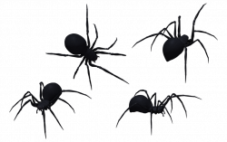 Black Widow Spider Set 12 by Free-Stock-By-Wayne on DeviantArt