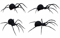 Black Widow Spider Set 03 by Free-Stock-By-Wayne on DeviantArt