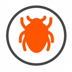 Pest Control Orlando | BugUglies® Pest Control | 1st Month Free