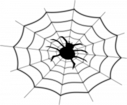 Spider Web Images Free | Free download best Spider Web Images Free ...