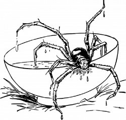 Free Spider Cartoon Pictures, Download Free Clip Art, Free Clip Art ...