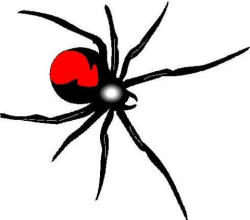 The Redback Spider Bite: Are Some People Immune?