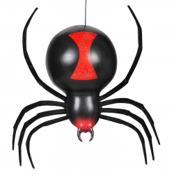 Black Widow Spider Eyes Images Pictures - Becuo - Clip Art ...
