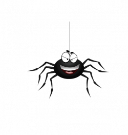 Spider web Black house spider Clip art - Black Spider 594*626 ...