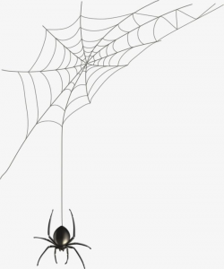 Hand Painted Spider Web | mann in 2019 | Spider clipart ...