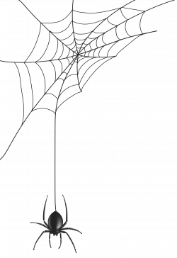 Spider web Clip art - Spider Web PNG Clip Art Image 5491*8000 ...