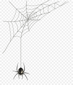 Spider Web png download - 848*1024 - Free Transparent Spider ...