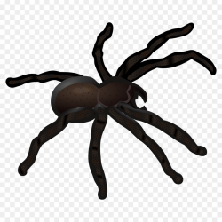 Spider Web clipart - Line, Graphics, transparent clip art