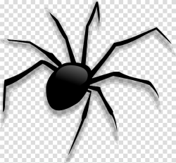 Spider Cartoon , Scary Spider transparent background PNG ...
