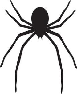 Spider Clip Art With Transparent Background | Clipart Panda ...
