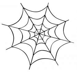 Spider web Clip art - Halloween Spider Transparent ...