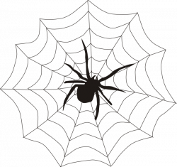 Unique Of Spider Web With Spider Clipart | Letters Format