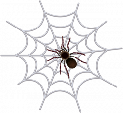 Spider Web Transparent Clip Art Image | Halloween | Pinterest ...