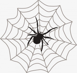 Spider Web Spider PNG, Clipart, Animal, Cobweb, Crawl ...