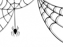 Spiders Web Free Download Clip Art - carwad.net