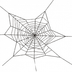 Spider Web Png bear clipart hatenylo.com