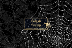 Cobweb Overlays and Spider Web Clipart, digital PNG Halloween graphics  digital overlays, macro photo realistic web instant download