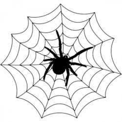 Cute spider web clipart free clipart images clipartix ...