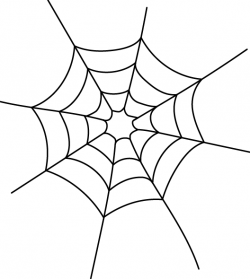 spider webs Archives - Carnegie Museum of Natural History
