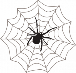 Spider web Itsy Bitsy Spider Clip art - Spider web spider 1280*1224 ...