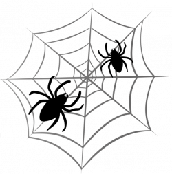 Halloween Spider Web PNG Clipart | Halloween | Pinterest | Spider ...
