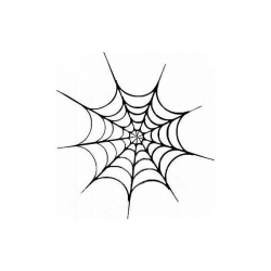 SPIDER WEB PICTURES, PICS, IMAGES AND PHOTOS FOR YOUR TATTOO ...